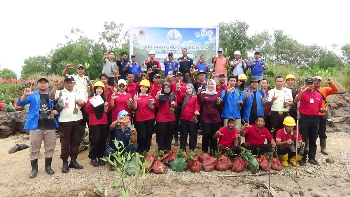 Peringati Hari Mangrove Sedunia 2026, PT NSP Tanam 2.000 Bibit Mangrove di Pesisir Kepau Baru