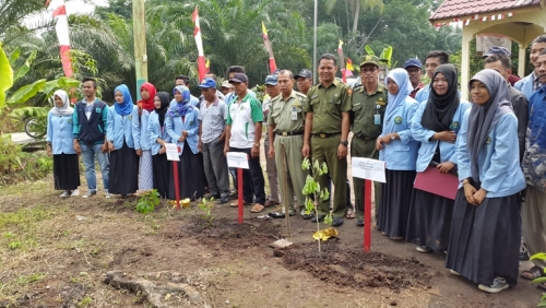 Puncak Hari Menanam Pohon Indonesia, Disbunhut Bengkalis Libatkan Mahasiswa dan Ormas