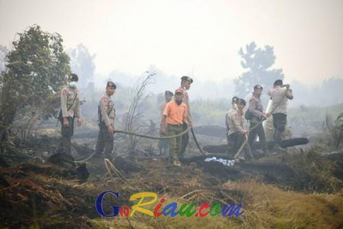 Lahan Perkebunan yang Terbakar di Pinggir Bengkalis Mayoritas Ditinggal Pemiliknya
