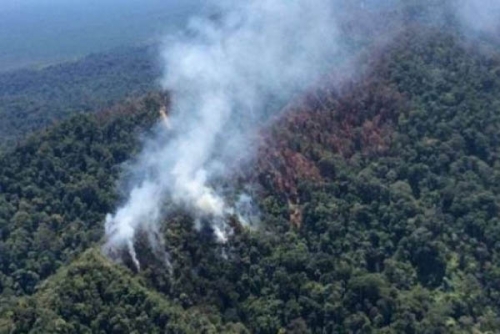 20 Hektare Hutan Lindung Bukit Betabuh di Inhu Terbakar