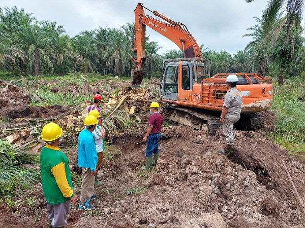 KUD Karya Bersama Lakukan Tumbang Perdana dengan Pola Kemitraan Bersama Asian Agri