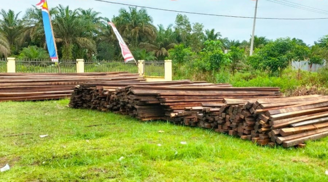 Polisi Tangkap Tiga Pelaku Illegal Logging di Pelalawan, Puluhan Kubik Kayu Olahan Diamankan