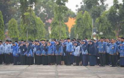 GoRiau Berikut Formasi untuk Penerimaan CPNS Inhil