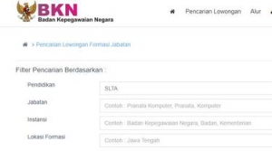 GoRiau Pelamar CPNS Salah Input Data, Masih Bisakah Diperbaiki? Ini Penjelasan BKN