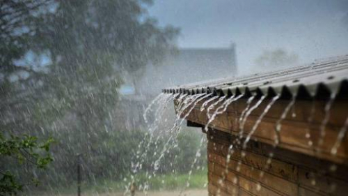 Diguyur Hujan Dua Hari, Titik Panas di Riau Menurun Drastis