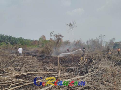 Tiga Perusahaan Pembakar Hutan dan Lahan Terus Diperiksa, Salah Satunya Perusahaan Sawit Malaysia