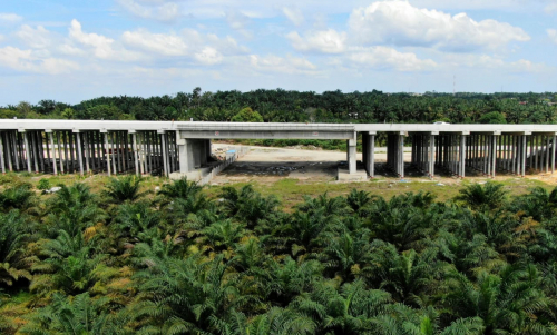 Istimewa dan Pertama di Indonesia, Tol Pekanbaru-Dumai Punya Terowongan Underpass yang Bisa Dilintasi Seratus Ekor Gajah