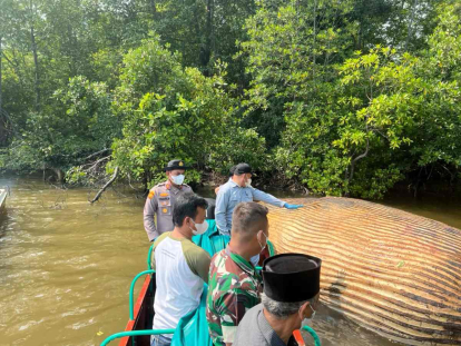 GoRiau Cegah Terseret Arus, Bangkai Mamalia Laut di Sungai Bahale Indragiri Hilir Dipindahkan ke Menteban