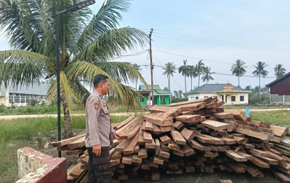 GoRiau Polisi Sita 10 Ton Kayu Olahan Ilegal di Sinaboi Rohil, Tiga Orang Diamankan