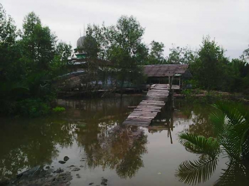 Sedihnya Dusun Sinar Pelita Inhil, Infrastruktur yang Ada Hanya Jembatan Kayu Tak Layak Pakai