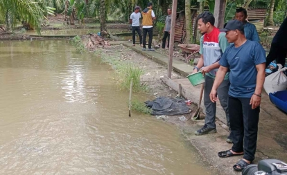 Tinggalkan Sawit demi Ikan Patin, Warga Bagansiapiapi Raup Puluhan Juta Berkat Pendampingan PHR
