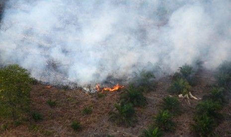 Lagi, 1.500 Hektare Kebun Terbakar di Siak