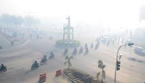 Dalam 3 Pekan, 7.000 Ha Hutan dan Lahan Terbakar di Riau