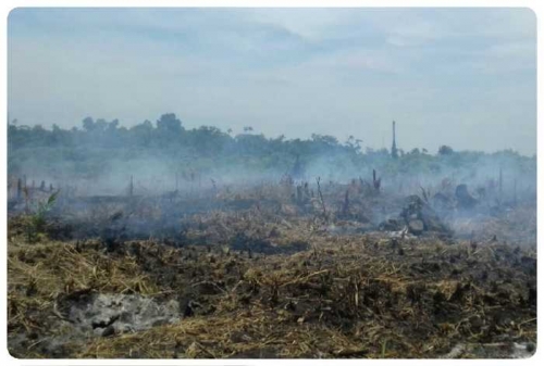 Titik Panas di Riau Melonjak Tajam Hingga Sore Ini, 27 Hotspot Terdeteksi Satelit