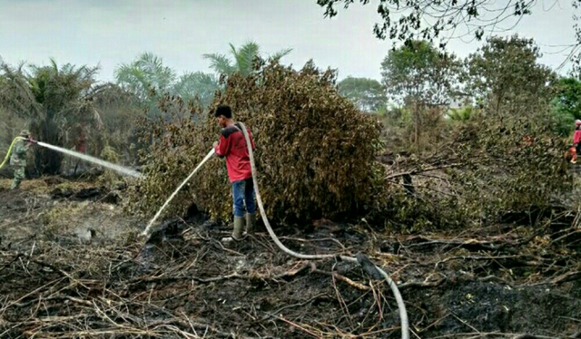 10 Titik Panas Terpantau di Pelalawan, Sudah 66 Hektare Lahan Terbakar