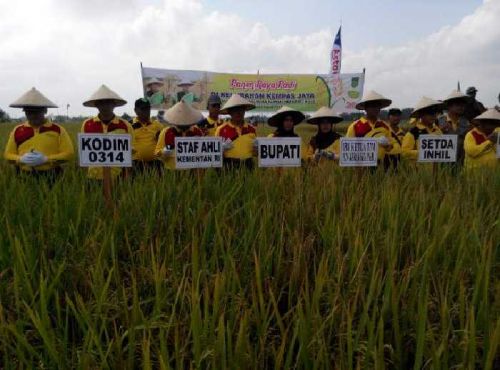 Penen Raya di Kempas, HM Wardan Ajak Petani Tingkatkan Produksi Padi