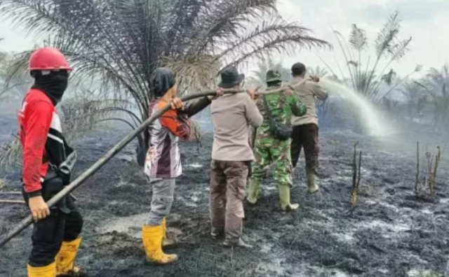 15 Hektare Kebun Sawit di Bengkalis Riau Terbakar