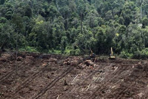 Suwondo: Gambut di Riau Jangan Dianggap Hutan Alami