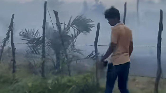 Karhutla di Kampar Bertambah dan Mengkhawatirkan, Lahan Sawit di Dua Desa Terbakar