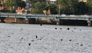 GoRiau Suhu Panas di India Renggut Seribu Jiwa dan Aspal Jalan Meleleh