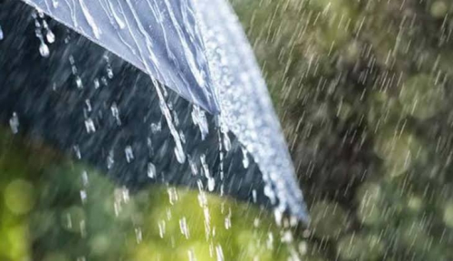 BMKG: Waspada Potensi Hujan Lebat Disertai Petir dan Angin Kencang di Tiga Wilayah Riau