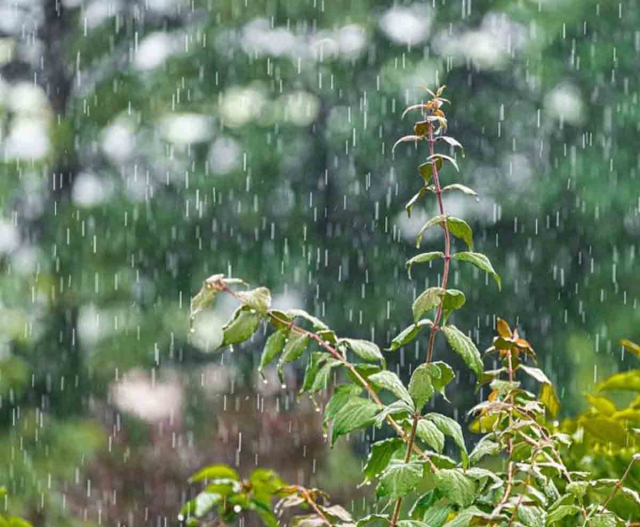 Prakiraan Cuaca BMKG: Hujan Mengguyur Riau, Warga Diminta Waspada