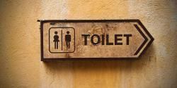Tak Kuatir Ditertawai, PBB Tetapkan 19 November Sebagai Hari Toilet Sedunia