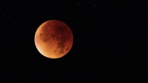 GoRiau Ada Hujan Meteor Saat Gerhana Bulan Total Sabtu Dinihari Nanti