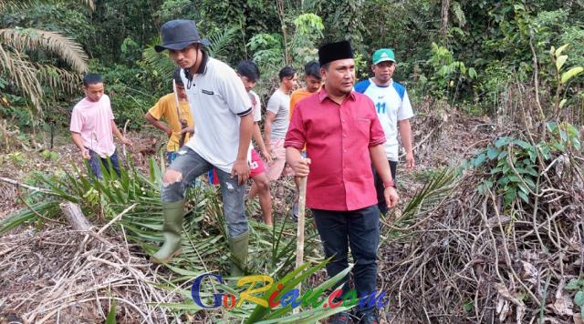 Kawanan Gajah Rusak Kebun Sawit Warga di Desa Kemang, DPRD Pelalawan Desak BBKSDA Riau Segera Evakuasi