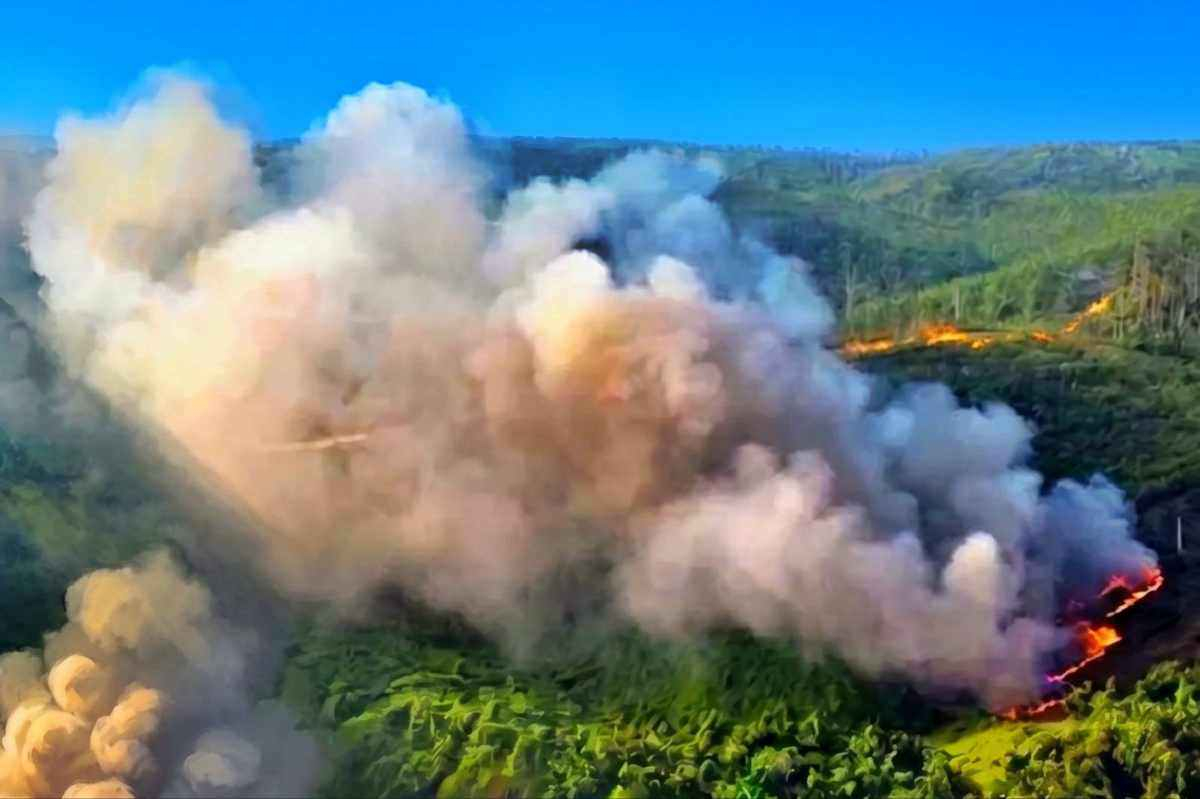 Titik Panas Riau Menyusut, BMKG Deteksi Tiga Lokasi Tersisa