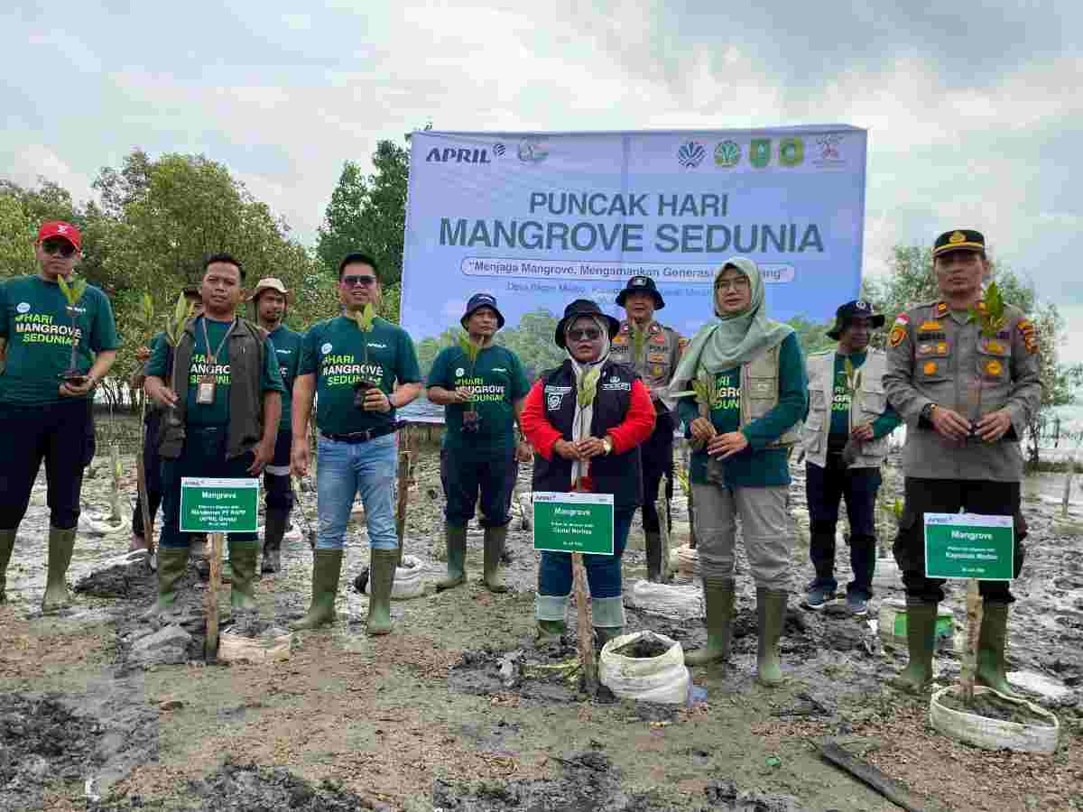 Perkuat Upaya Pelestarian Mangrove di Kepulauan Meranti, RAPP Dukung Gerakan Nasional Hari Mangrove Sedunia