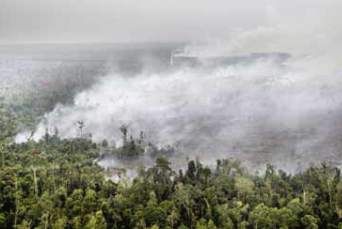 Gawat, Malaysia Kembali Tercemar Kabut Asap Riau