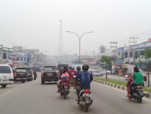 Mengerikan! Dampak Kabut Asap di Duri Dalam Jangka Waktu Panjang Terhadap Perkembang Otak Anak, Berikut Penjelasannya