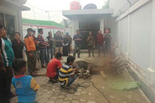 Karyawan/ti Bank Riau Kepri Kantor Cabang Airmolek Turut Berkurban 4 Ekor Sapi