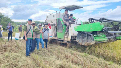 Di Rambah Samo, IKA FP USU Riau Panen Padi Biofortifikasi dan Rintisan Contract Farming