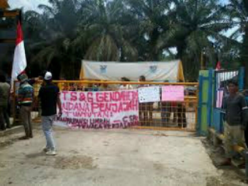 PT. Gandaerah Hendana Diduga Garap Lahan di Luar HGU dan Izin Pelepasan
