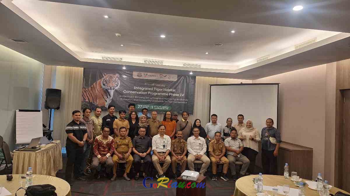 YAPEKA Luncurkan RIMBA TIGER, Perkuat Konservasi Harimau Sumatera di Rimbang Baling
