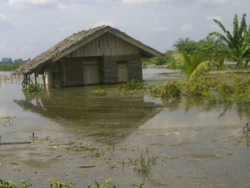 Desa Sukajadi Terendam Banjir, Warga Harapkan Bantuan Pemkab Inhu