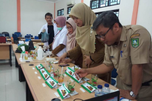 Mengejutkan, Hasil Uji Sampel Sayur dan Buah dari Luar Bengkalis Banyak Mengandung Pestisida