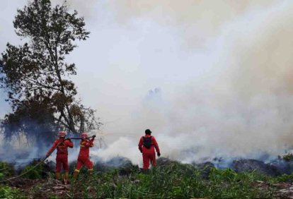GoRiau Status Siaga Karhutla Sudah Rampung, Riau Kini Diminta Sigap Hadapi Banjir dan Longsor