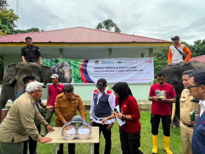 GoRiau HK Pasang Gps Collar Untuk Pantau Pergerakan Gajah di Sekitar Tol Pekanbaru - Dumai