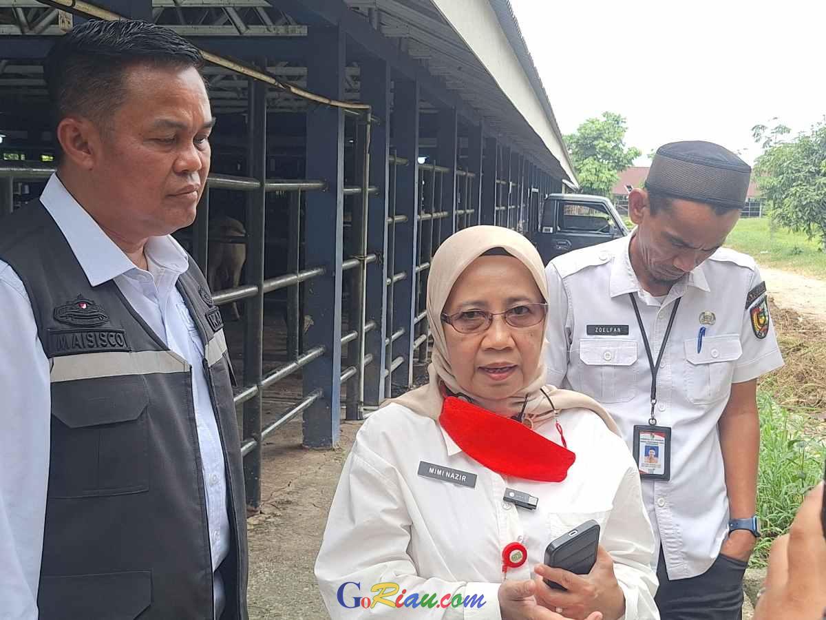 RPH Pekanbaru Dinilai Berpotensi Dongkrak PAD, Pemprov Riau Dorong Pembenahan dan Skema BLUD