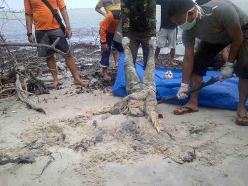 Masyarakat Pulau Rupat Geger, Ditemukan 6 Mayat tanpa Identitas