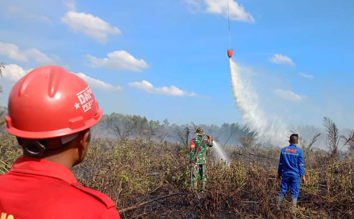 Karhutla di Riau, 1 Hektare Lahan di Rohil dan 1,7 Hektare di Dumai Mulai Terbakar