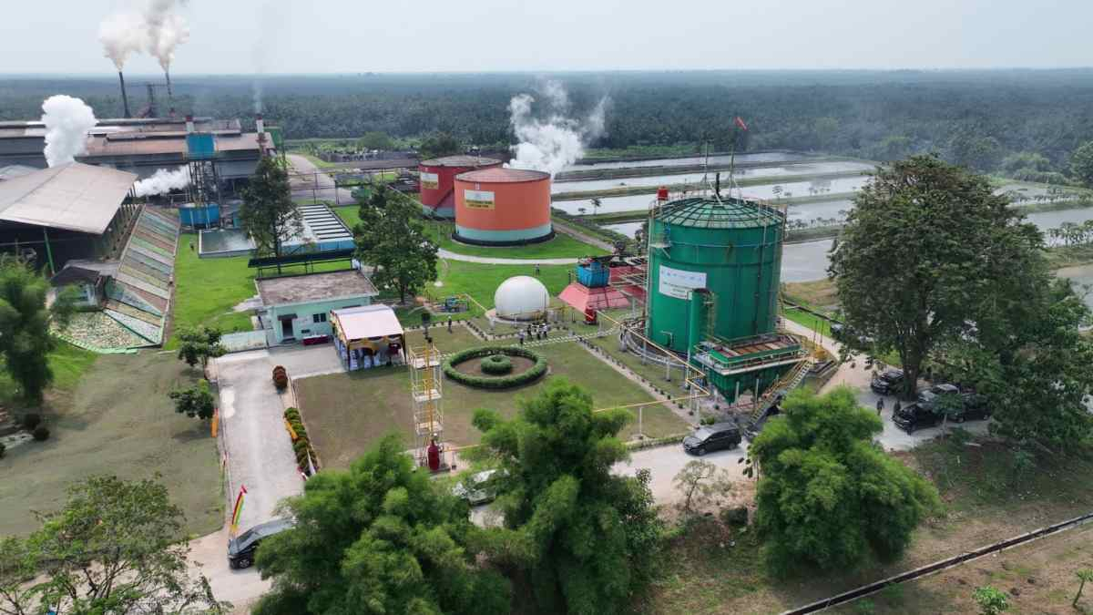 Danantara Berpotensi Percepat Akselerasi Hilirisasi Perkebunan Negara