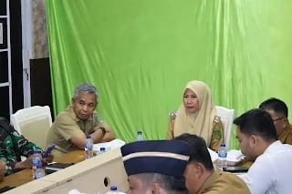 Perdana Bertugas, Wabup Inhil Yuliantini Hadiri Rapat Inflasi Nasional