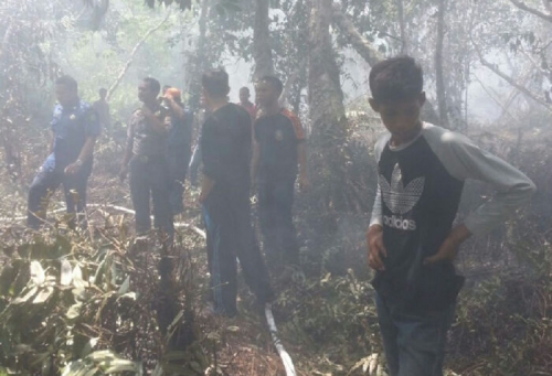 Lahan di Desa Mekong Riau Terbakar, BPBD Kirim 2 Mobil Damkar