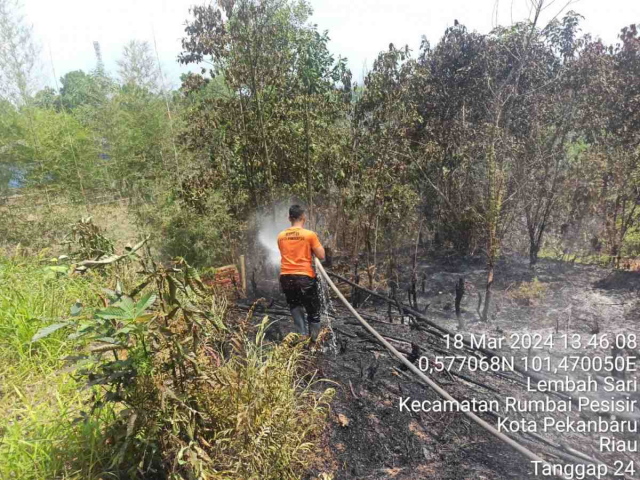 Kebakaran Lahan Terjadi di Dua Tempat di Pekanbaru