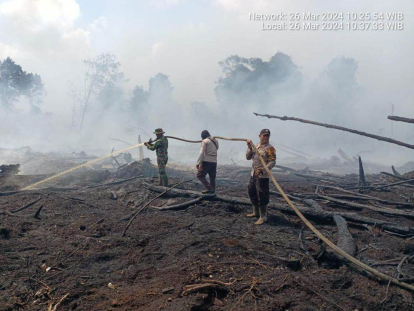 GoRiau Tiga Kebakaran Lahan di Bengkalis Berhasil Dipadamkan