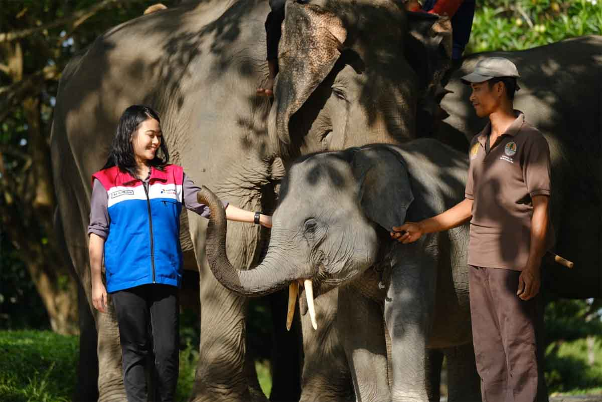 Penghargaan Green World Environment Award, Bukti Sinergi PHR Jaga Ekosistem Gajah
